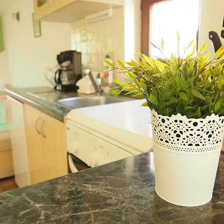 Daire Bunari Tribalj